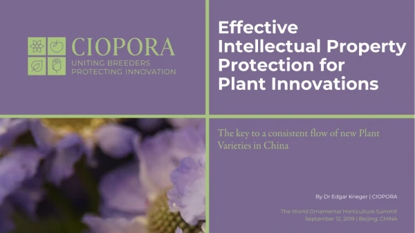 Effective Intellectual Property Protection for Plant Innovations