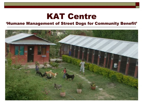 KAT Centre ‘Humane Management of Street Dogs for Community Benefit’