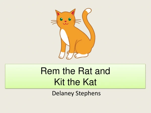 Rem the Rat and Kit the Kat