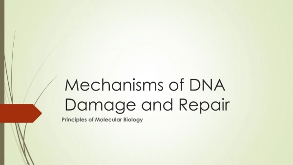 Mechanisms of DNA Damage and Repair