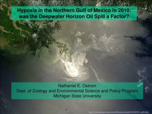 Hypoxia in the Northern Gulf of Mexico in 2010: was the Deepwater Horizon Oil Spill a Factor?