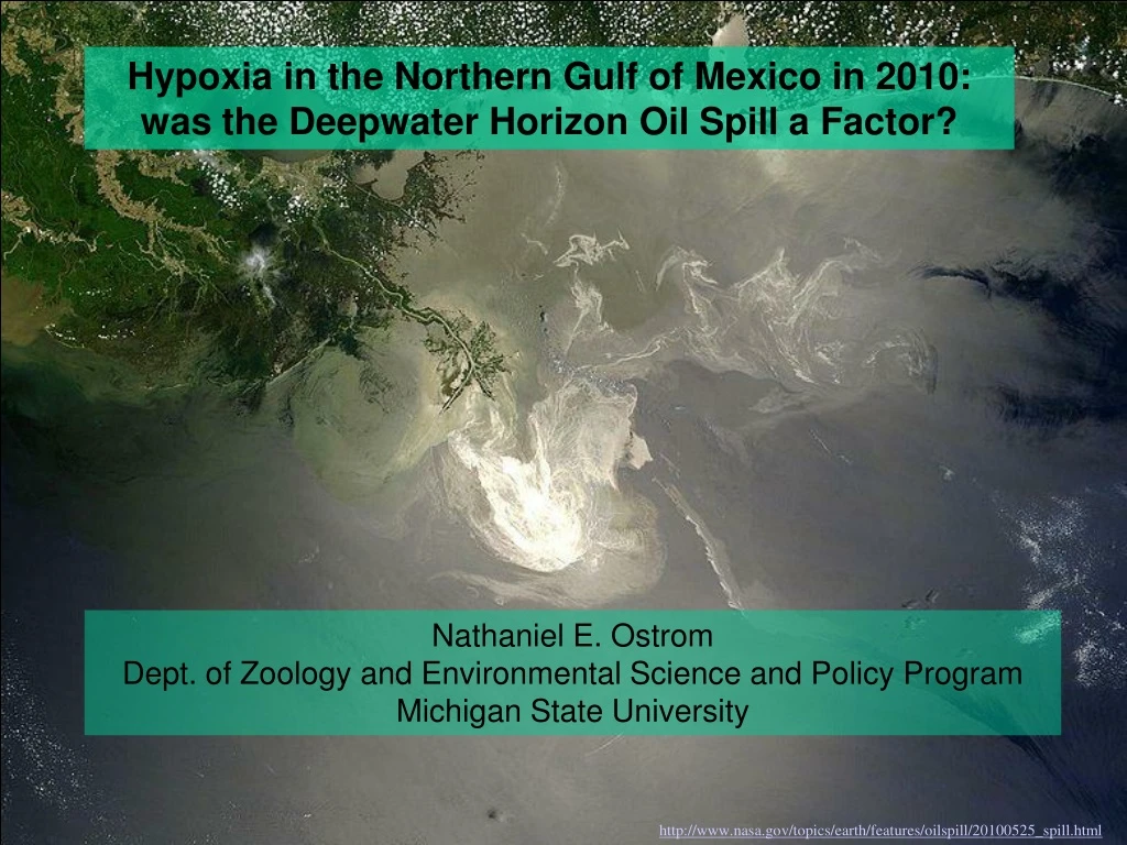 hypoxia in the northern gulf of mexico in 2010