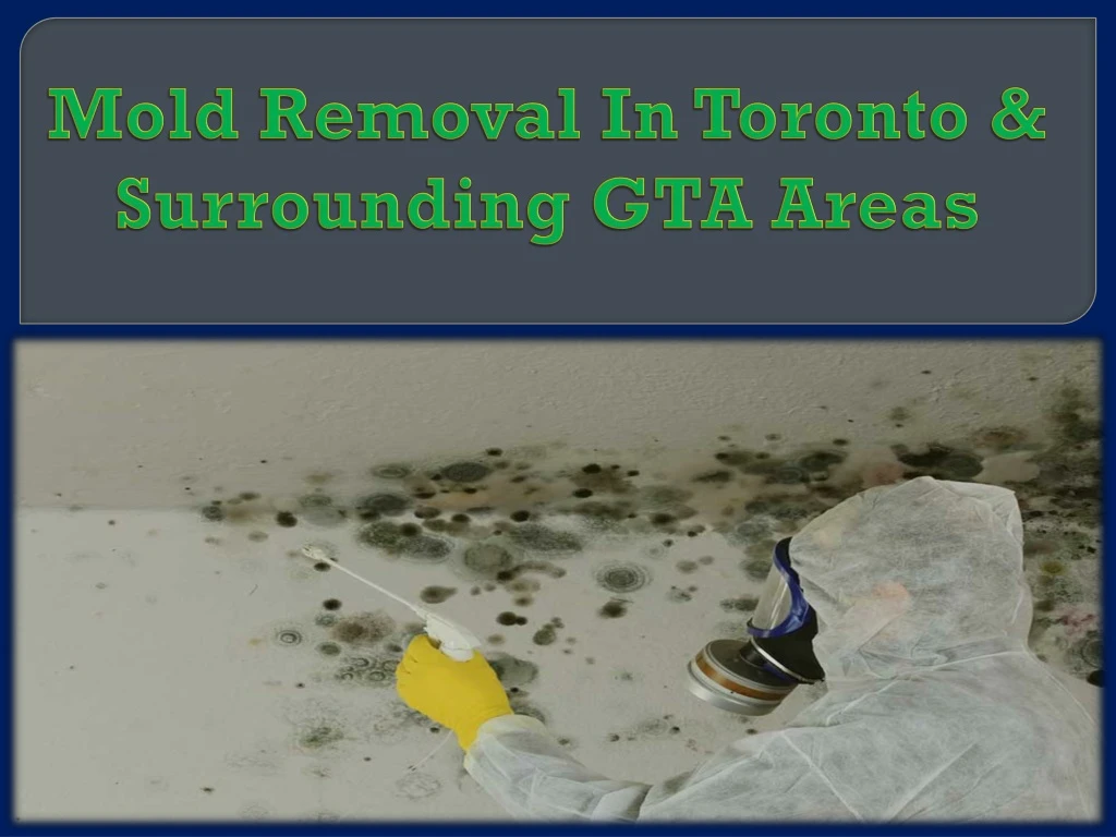 mold removal in toronto surrounding gta areas