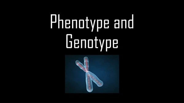Phenotype and Genotype