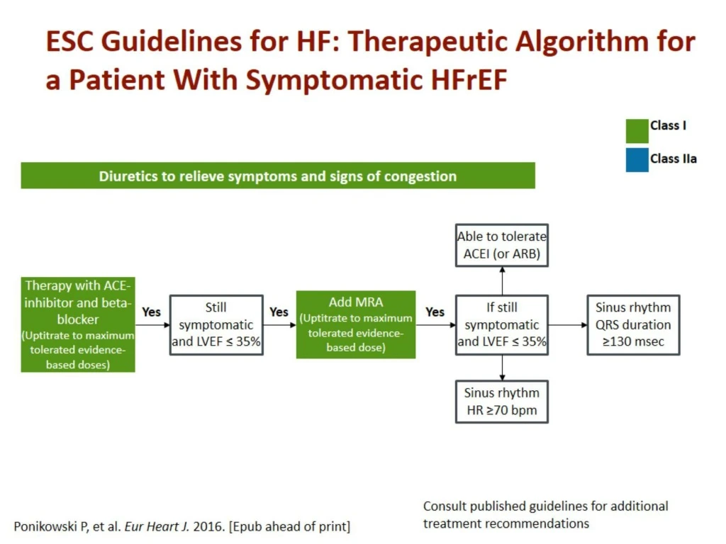 esc guidelines for hf therapeutic algorithm for a patient with symptomatic hfref