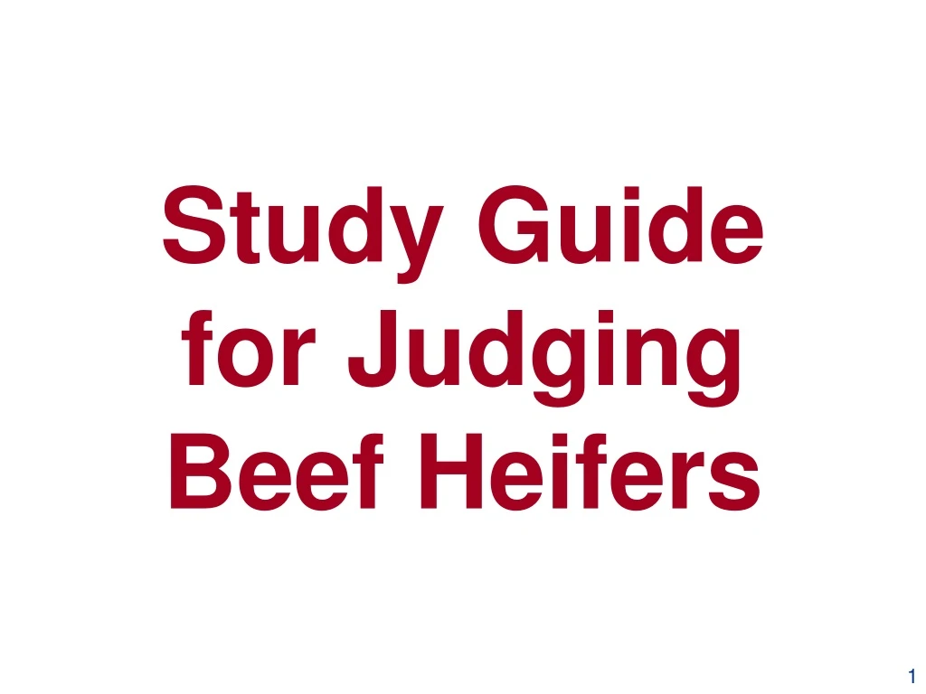 study guide for judging beef heifers