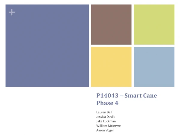P14043 – Smart Cane Phase 4