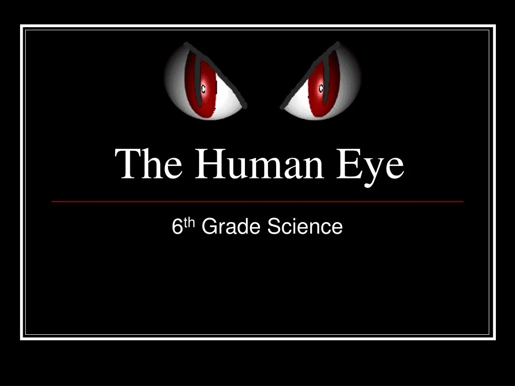 the human eye