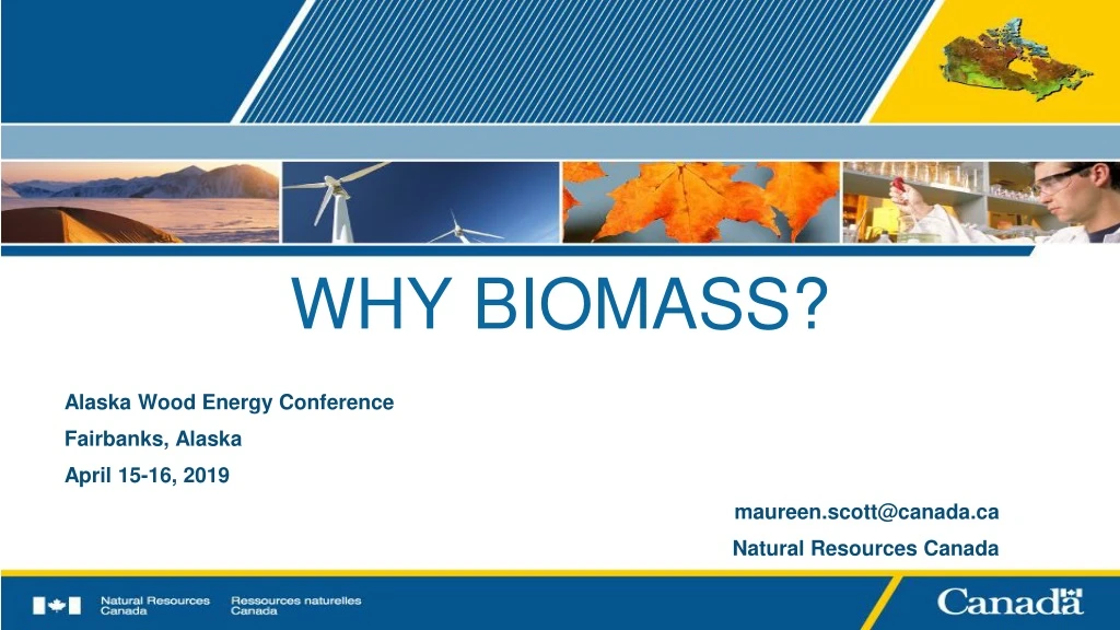 why biomass