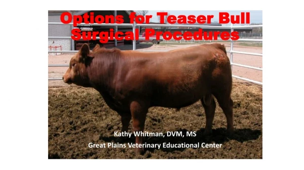 Options for Teaser Bull Surgical Procedures