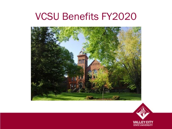 VCSU Benefits FY2020