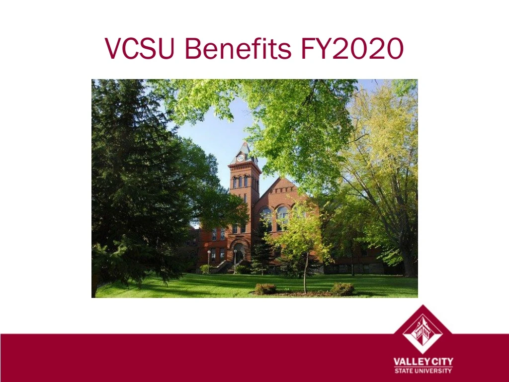 vcsu benefits fy2020