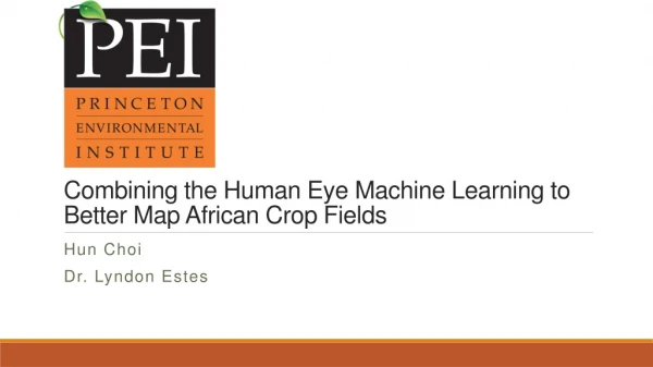 Combining the Human Eye Machine Learning to Better Map African Crop Fields