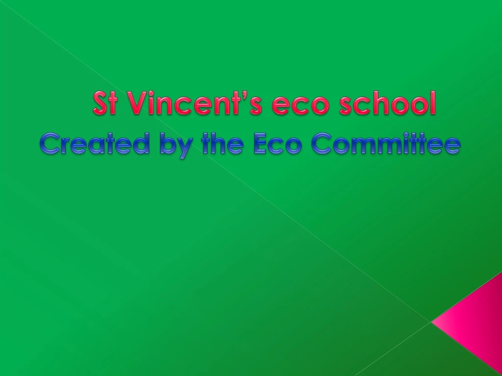 st vincent s eco school