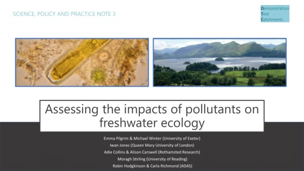 Assessing the impacts of pollutants on freshwater ecology