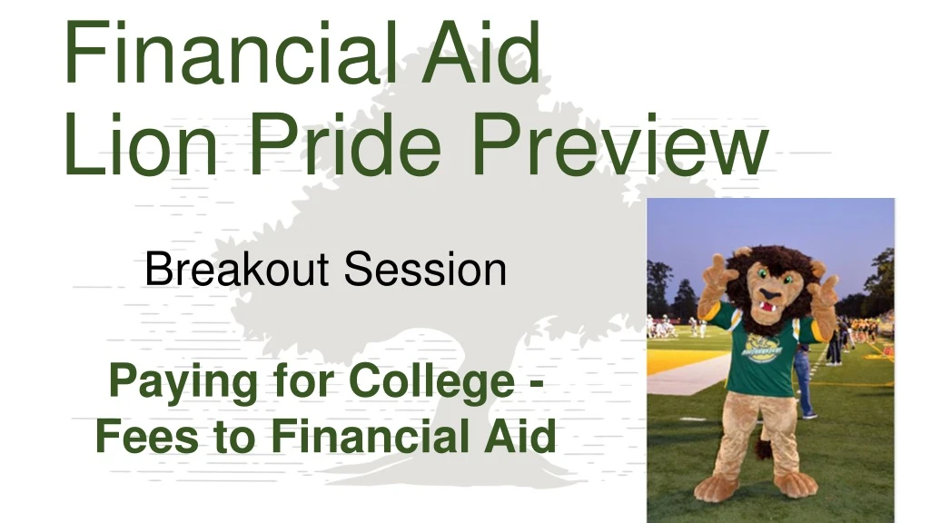 financial aid lion pride preview