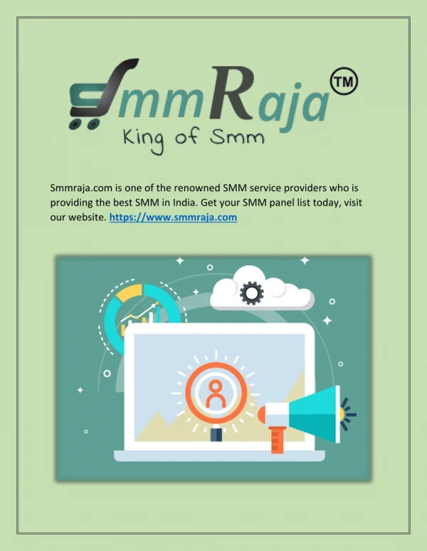 SMM Provider - Smmraja.com