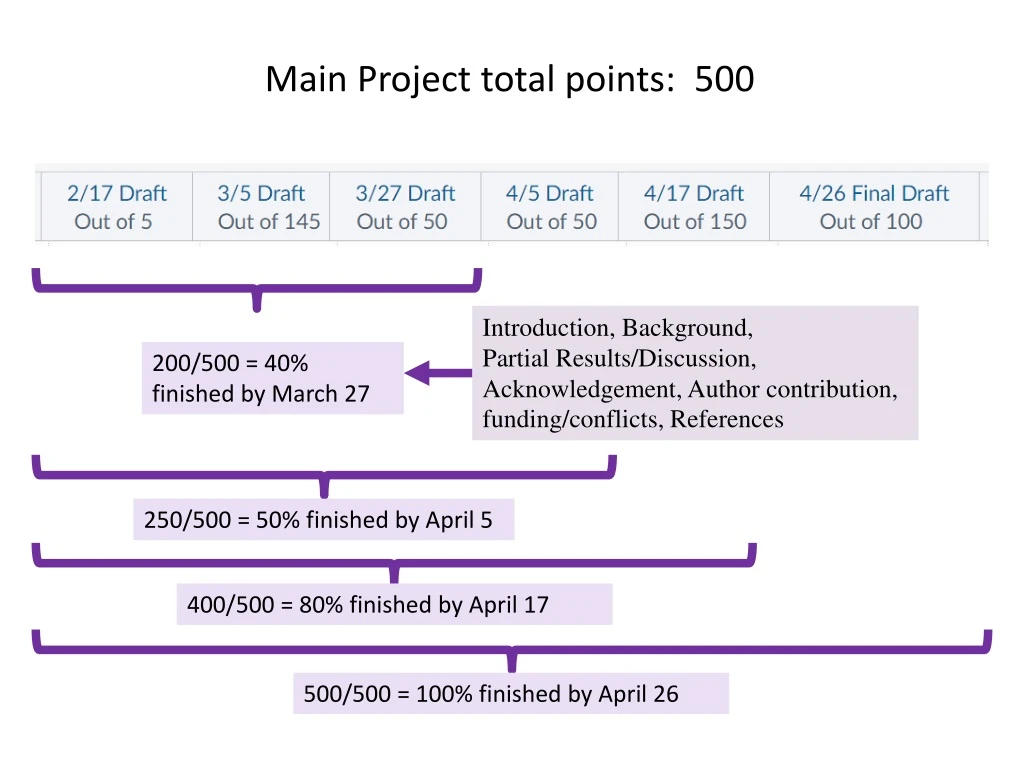 main project total points 500
