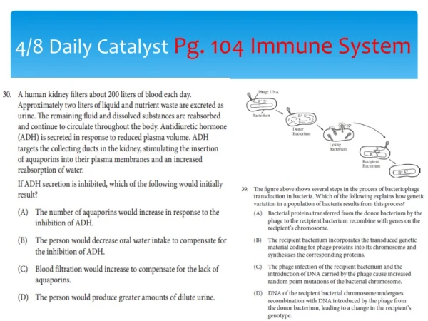 4/8 Daily Catalyst Pg. 104 Immune System