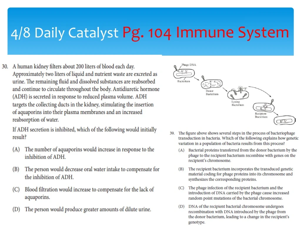 4 8 daily catalyst pg 104 immune system