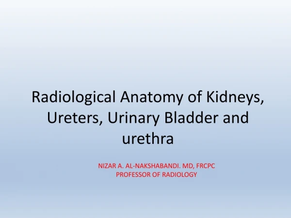 Radiological Anatomy of Kidneys, Ureters , Urinary Bladder and urethra