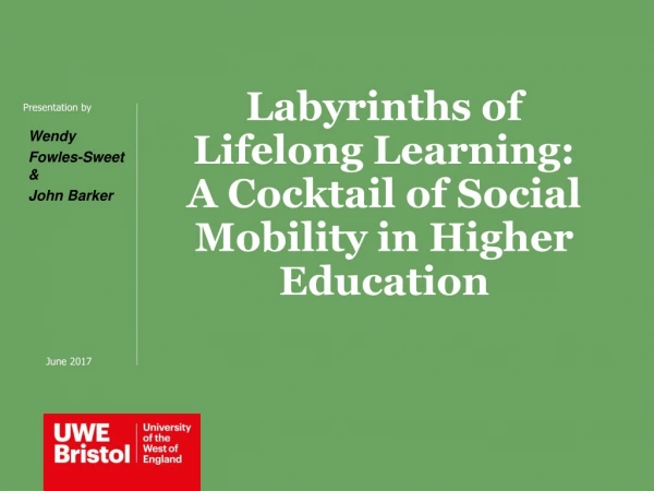 Labyrinths of Lifelong Learning: A Cocktail of Social Mobility in Higher Education
