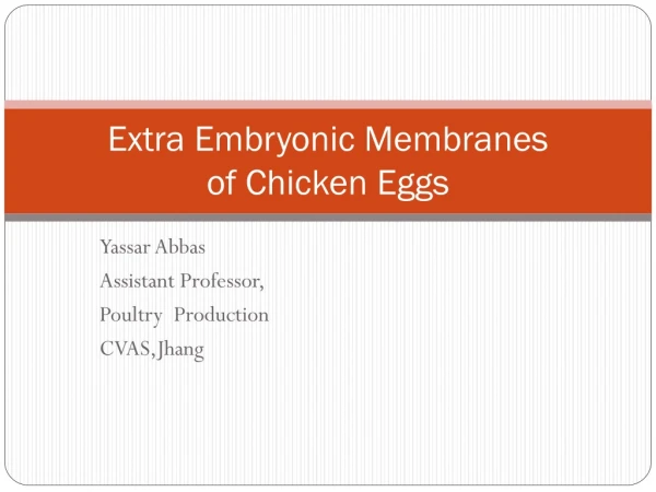 Extra Embryonic Membranes of Chicken Eggs