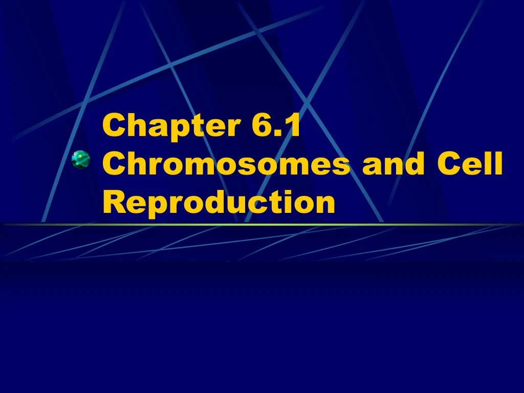 chapter 6 1 chromosomes and cell reproduction