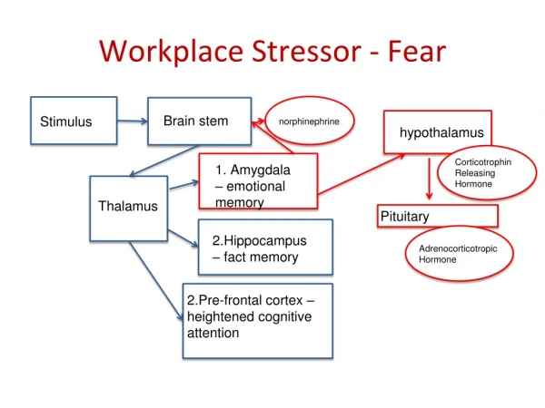 Workplace Stressor - Fear