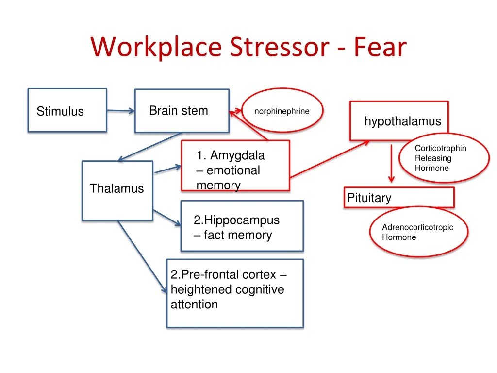 workplace stressor fear