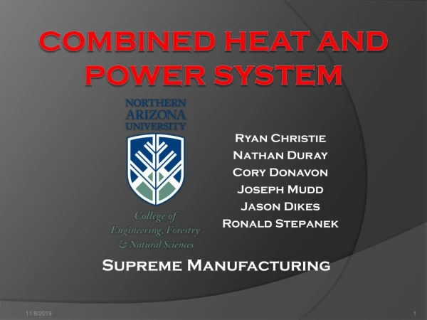 Combined Heat and Power System