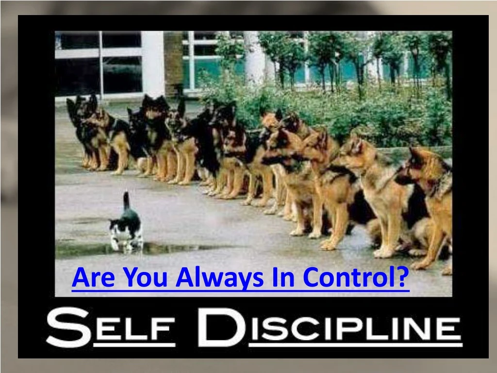 self discipline