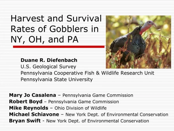 Harvest and Survival Rates of Gobblers in NY, OH, and PA