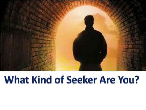 What Kind of Seeker Are You?