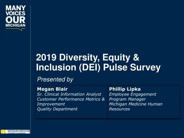 2019 Diversity, Equity &amp; Inclusion (DEI) Pulse Survey