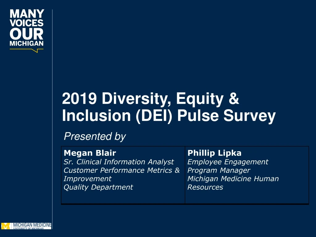2019 diversity equity inclusion dei pulse survey