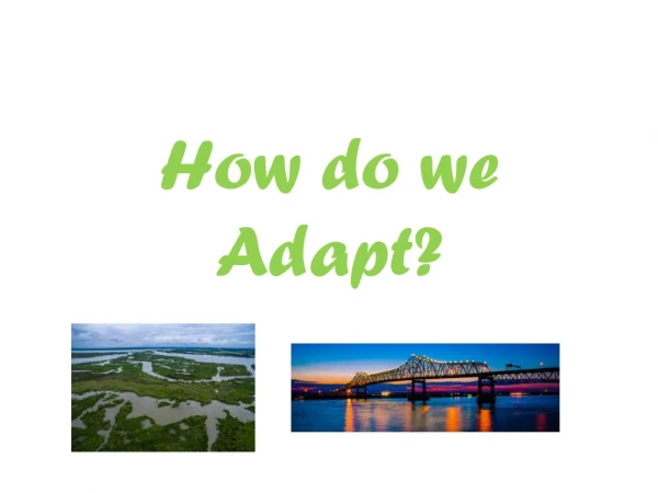 How do we Adapt?