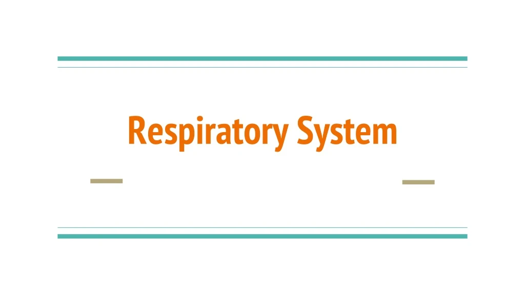 respiratory system