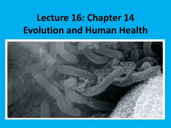 Lecture 16: Chapter 14 Evolution and Human Health
