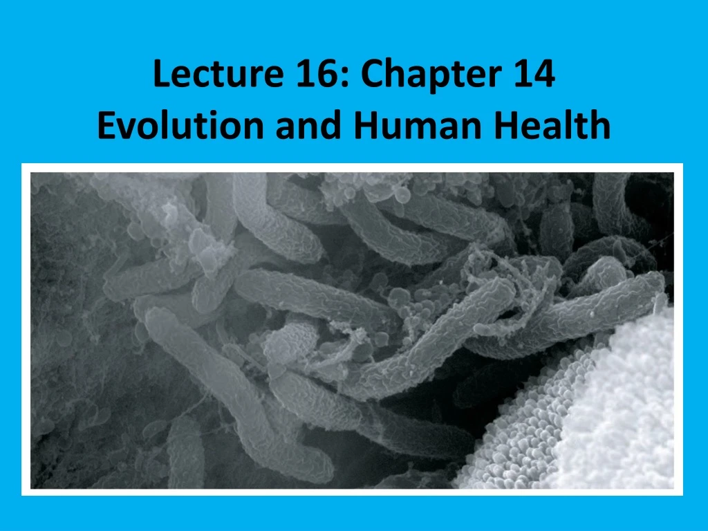 lecture 16 chapter 14 evolution and human health