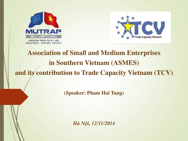 Association of Small and Medium Enterprises in Southern Vietnam (ASMES)