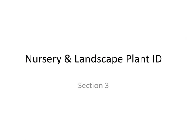 Nursery &amp; Landscape Plant ID