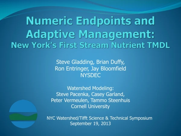 Numeric Endpoints and Adaptive Management: New York’s First Stream Nutrient TMDL
