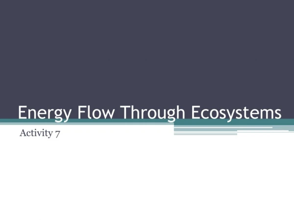 Energy Flow Through Ecosystems