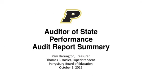 Auditor of State Performance Audit Report Summary