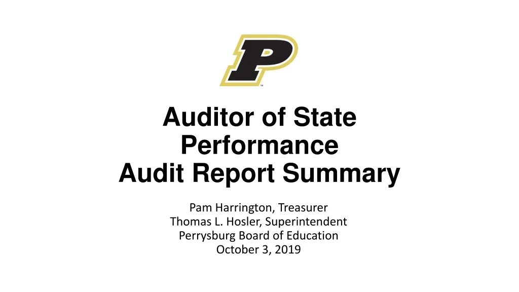 auditor of state performance audit report summary