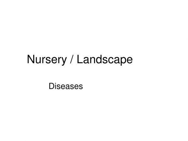 Nursery / Landscape