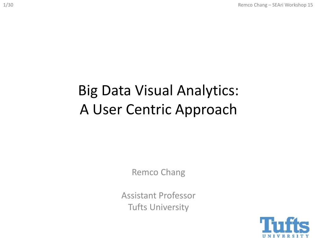 big data visual analytics a user centric approach