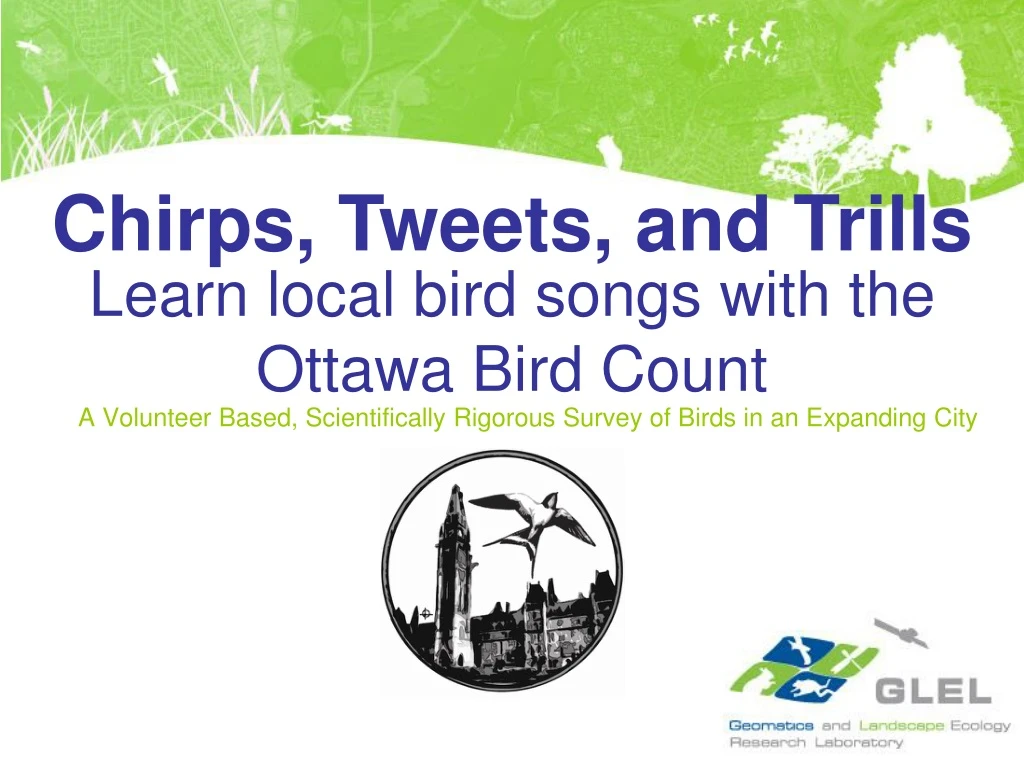 learn local bird songs with the ottawa bird count