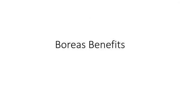 Boreas Benefits